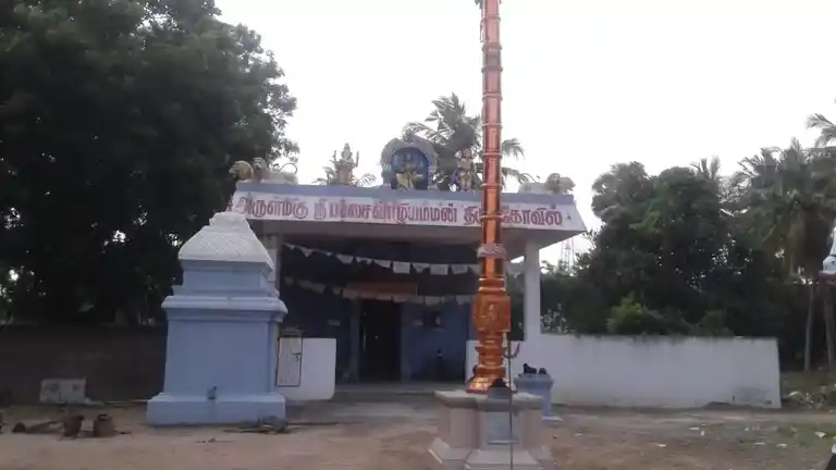 Arulmigu Pachaivazhiamman Temple, Kuringipadi - 607302