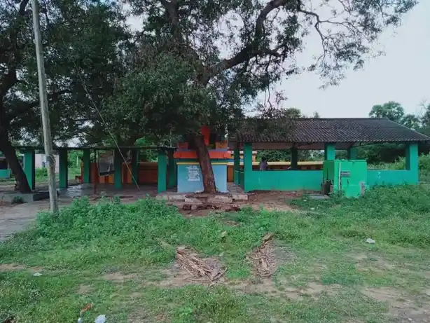 Arulmigu Pachaiyamman Mannarswamy Temple, Vada Iluppai - 604407 Arulmigu Pachaiyamman Mannarswamy Temple, Vada Iluppai - 604407, Tiruvannamalai - Ancient Temple Architecture and History Image 5