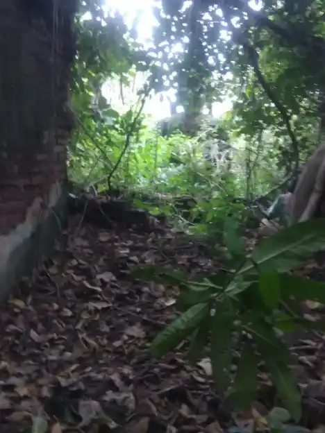 Arulmigu Pachaiyamman Temple, Matrapalli - 635652 அருள்மிகு பச்சையம்மன் திருக்கோயில், மட்றப்பள்ளி - 635652, Thirupathur - Ancient Temple Architecture and History Image 2