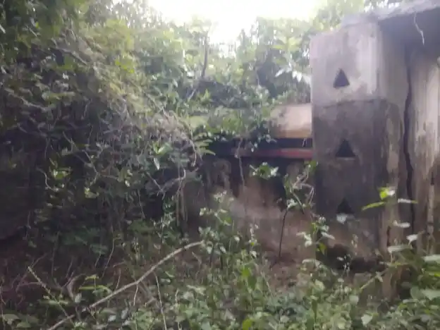 Arulmigu Pachaiyamman Temple, Matrapalli - 635652 அருள்மிகு பச்சையம்மன் திருக்கோயில், மட்றப்பள்ளி - 635652, Thirupathur - Ancient Temple Architecture and History Image 4