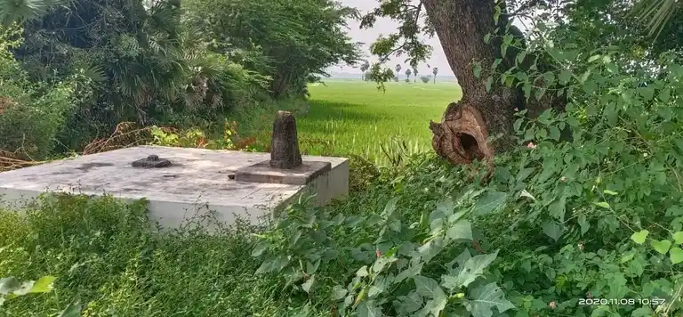 Arulmigu Pacheyayee Temple, Pudur Uthamanur - 622712 Temple