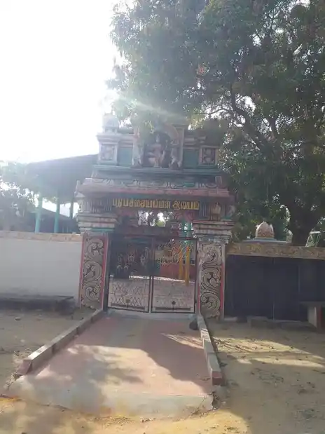 Arulmigu Pachiamman Temple, Near Paramveer Higher Secondary School, Adagapadi - 636803