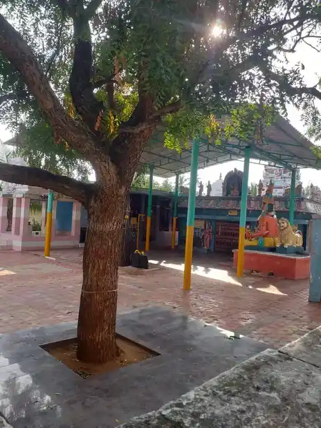 Arulmigu Pachiamman Temple, Near Paramveer Higher Secondary School, Adagapadi - 636803 அருள்மிகு பச்சியம்மன் திருக்கோயில், Near Paramveer Higher Secondary School, Adagapadi - 636803, Dharmapuri - Ancient Temple Architecture and History Image 4