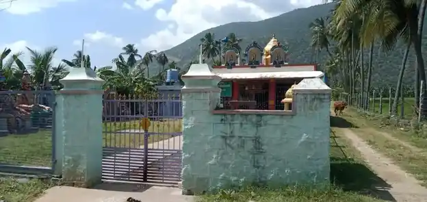 Arulmigu Pachiamman Temple, Nerunjippettai - 638311 அருள்மிகு பச்சையம்மன் திருக்கோயில், Nerunjippettai - 638311, Erode - Ancient Temple Architecture and History Image 3