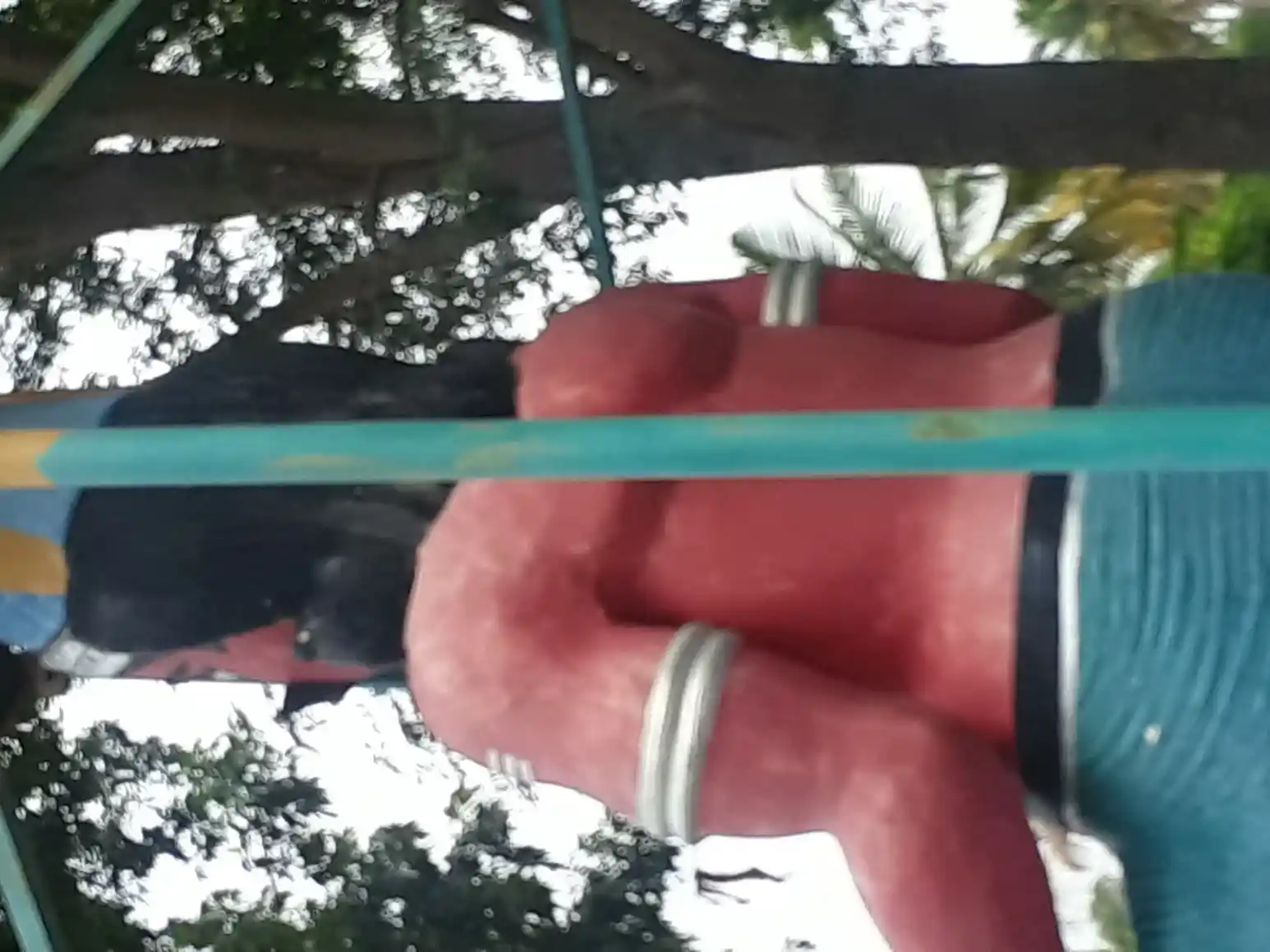 Arulmigu Pachiyamman Maduraiveeran Temple, Varathampalayam - 638401 Temple