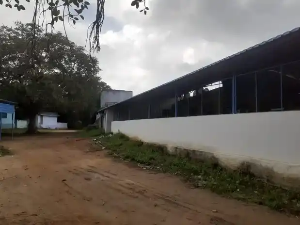 Arulmigu Padagalingaswamy Temple, Malayangulam - 627416 அருள்மிகு பாடகலிங்க சுவாமி திருக்கோயில், Malayangulam - 627416, Tirunelveli - Ancient Temple Architecture and History Image 7