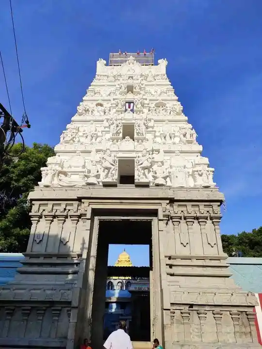 Arulmigu Padalathiri Narasimma Perumal Temple, Singaperumal Koil, Chengalpattu - 603204