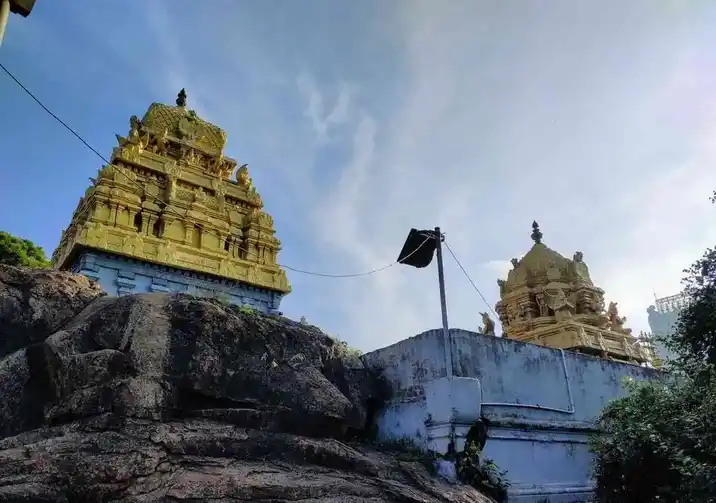 Arulmigu Padalathiri Narasimma Perumal Temple, Singaperumal Koil, Chengalpattu - 603204 அருள்மிகு பாடலாத்ரி நரசிம்ம பெருமாள் திருக்கோயில், சிங்கபெருமாள் கோயில் - 603204, Chengalpattu - Ancient Temple Architecture and History Image 4
