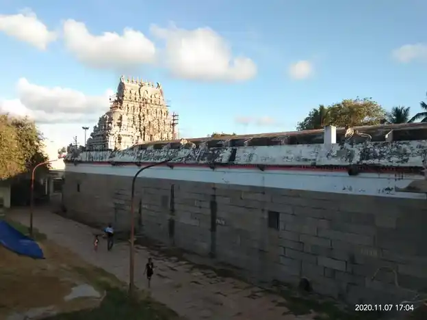 Arulmigu Padaleeswarar Temple, Thirupathiripuliyur, Cuddalore - 607002 அருள்மிகு பாடலீஸ்வரர் திருக்கோயில், திருப்பாதிரிபுலியூர், கடலூர் - 607002, Cuddalore - Ancient Temple Architecture and History Image 6