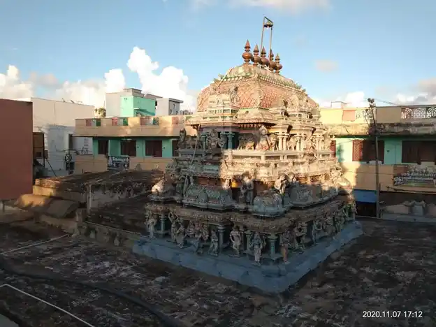 Arulmigu Padaleeswarar Temple, Thirupathiripuliyur, Cuddalore - 607002 அருள்மிகு பாடலீஸ்வரர் திருக்கோயில், திருப்பாதிரிபுலியூர், கடலூர் - 607002, Cuddalore - Ancient Temple Architecture and History Image 9