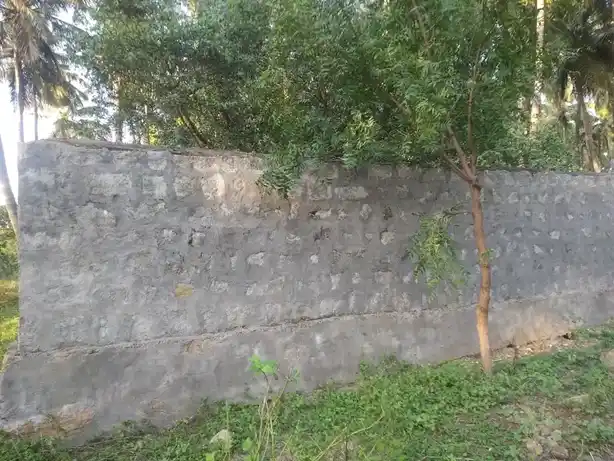 Arulmigu Padarkunni Varadharajaperumal Temple, Devanallur - 638656 அருள்மிகு படர்குன்னி வரதராசபெருமாள் திருக்கோயில், தேவநல்லூர் - 638656, Tiruppur - Ancient Temple Architecture and History Image 3