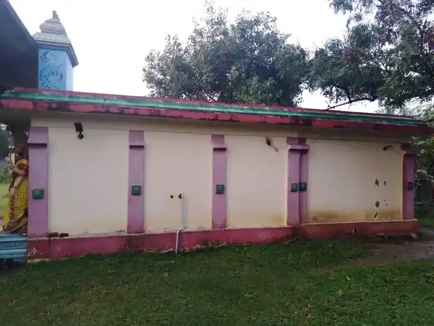 Arulmigu Padavatamman Temple, Kasipapuram, Chennai - 600126 அருள்மிகு படவேட்டம்மன் மற்றும் கோலாட்சியம்மன் திருக்கோயில், கஸ்பாபுரம், சென்னை - 600126, Chengalpattu - Ancient Temple Architecture and History Image 4