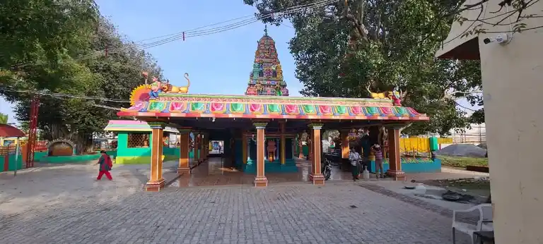 Arulmigu Padavattamman Temple, Walajah - 632513 அருள்மிகு படவேட்டம்மன் திருக்கோயில், வாலாஜா நகரம் - 632513, Ranipet - Ancient Temple Architecture and History Image 7
