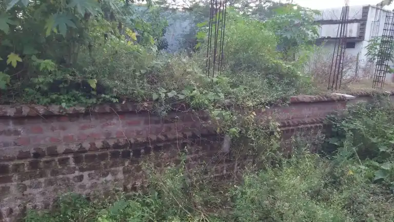Arulmigu Padavettamman Temple, Inside The Village, Melanur - 602001 அருள்மிகு படவேட்டம்மன் திருக்கோயில், Inside The Village, Melanur - 602001, Tiruvallur - Ancient Temple Architecture and History Image 3
