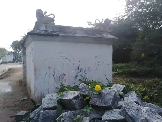 Arulmigu Padavettamman Temple, Kunathur - 631001 அருள்மிகு படவேட்டம்மன் திருக்கோயில், குன்னத்தூர் - 631001, Ranipet - Ancient Temple Architecture and History Image 11