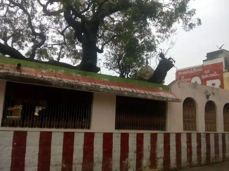 Arulmigu Padavettamman Temple, Madam - 631209 அருள்மிகு படவேட்டம்மன் திருக்கோயில், மாடம் - 631209, Tiruvallur - Ancient Temple Architecture and History Image 4