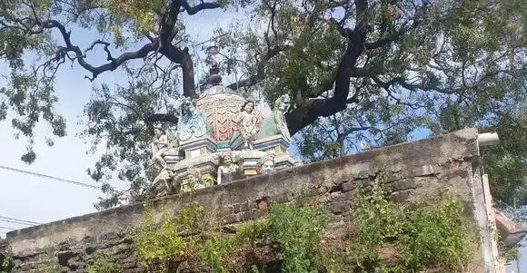 Arulmigu Padavettamman Temple, Madam - 631209 அருள்மிகு படவேட்டம்மன் திருக்கோயில், மாடம் - 631209, Tiruvallur - Ancient Temple Architecture and History Image 5