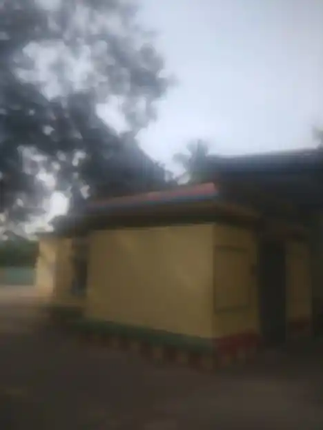 Arulmigu Padavettamman Temple, Village Road, Chinnanagapoondi - 631303 அருள்மிகு படவேட்டம்மன் திருக்கோயில், Village Road, Chinnanagapoondi - 631303, Tiruvallur - Ancient Temple Architecture and History Image 3