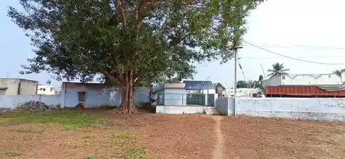 Arulmigu Padavettiyamman Temple, Cholasiramani - 637210 அருள்மிகு படவெட்டியம்மன் திருக்கோயில், சோழசிராமணி - 637210, Namakkal - Ancient Temple Architecture and History Image 2