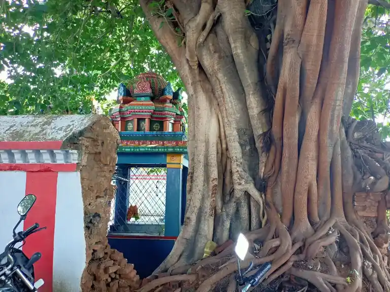 Arulmigu Padavettu Amman Temple, Kaniyambadi - 632102 அருள்மிகு படவேட்டு அம்மன் திருக்கோயில், கணியம்பாடி - 632102, Vellore - Ancient Temple Architecture and History Image 4