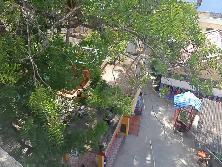 Arulmigu Padavettu Amman Temple, Old Town Vellore - 632001 அருள்மிகு படவேட்டம்மன் திருக்கோயில், ஓல்டு டவுன் வேலூர் - 632001, Vellore - Ancient Temple Architecture and History Image 2