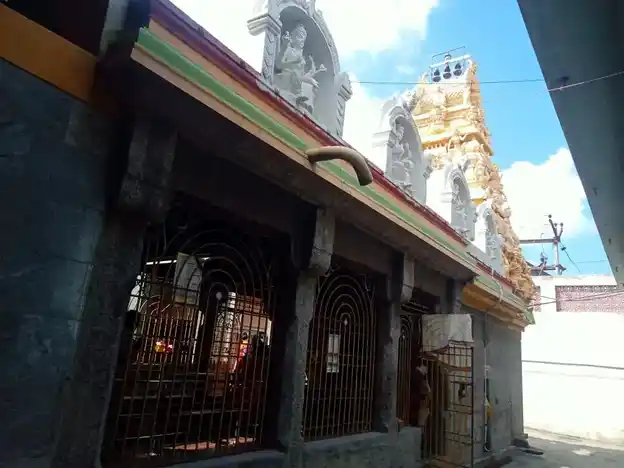 Arulmigu Padavettu Ellaiamman Temple, Pudhupettai, Gudiyatham - 632602 அருள்மிகு படவேட்டு எல்லையம்மன் திருக்கோயில், புதுப்பேட்டை, குடியாத்தம் - 632602, Vellore - Ancient Temple Architecture and History Image 3
