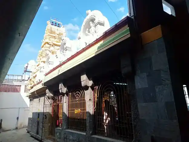 Arulmigu Padavettu Ellaiamman Temple, Pudhupettai, Gudiyatham - 632602 அருள்மிகு படவேட்டு எல்லையம்மன் திருக்கோயில், புதுப்பேட்டை, குடியாத்தம் - 632602, Vellore - Ancient Temple Architecture and History Image 4