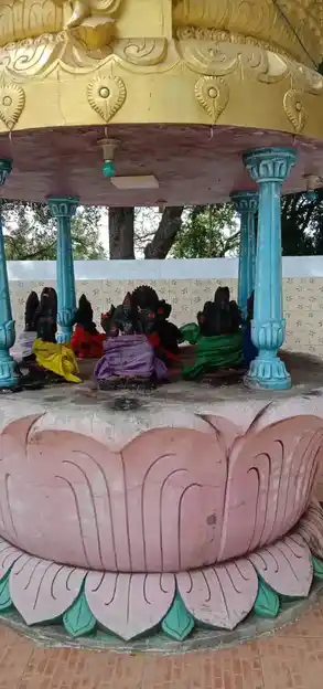 Arulmigu Padavettu Elliyamman Temple, Angiretti Pudur - 632601 அருள்மிகு படவேட்டு எல்லையம்மன் திருக்கோயில், அக்கிரெட்டிபுதூர் - 632601, Vellore - Ancient Temple Architecture and History Image 4