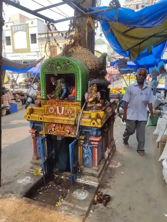 Arulmigu Padhala Krishnan Temple, Srirangam, Thiruchirappalli - 620006 அருள்மிகு பாதாளகிருஷ்ணன் திருக்கோயில், Srirangam, Thiruchirappalli - 620006, Thiruchirappalli - Ancient Temple Architecture and History Image 3