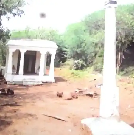 Arulmigu Padhalaraya Perumal Temple, B.Meenakshipuram - 625513 அருள்மிகு பாதாளராய பெருமாள் திருக்கோயில், பி.மீனாட்சிபுரம் - 625513, Theni - Ancient Temple Architecture and History Image 3