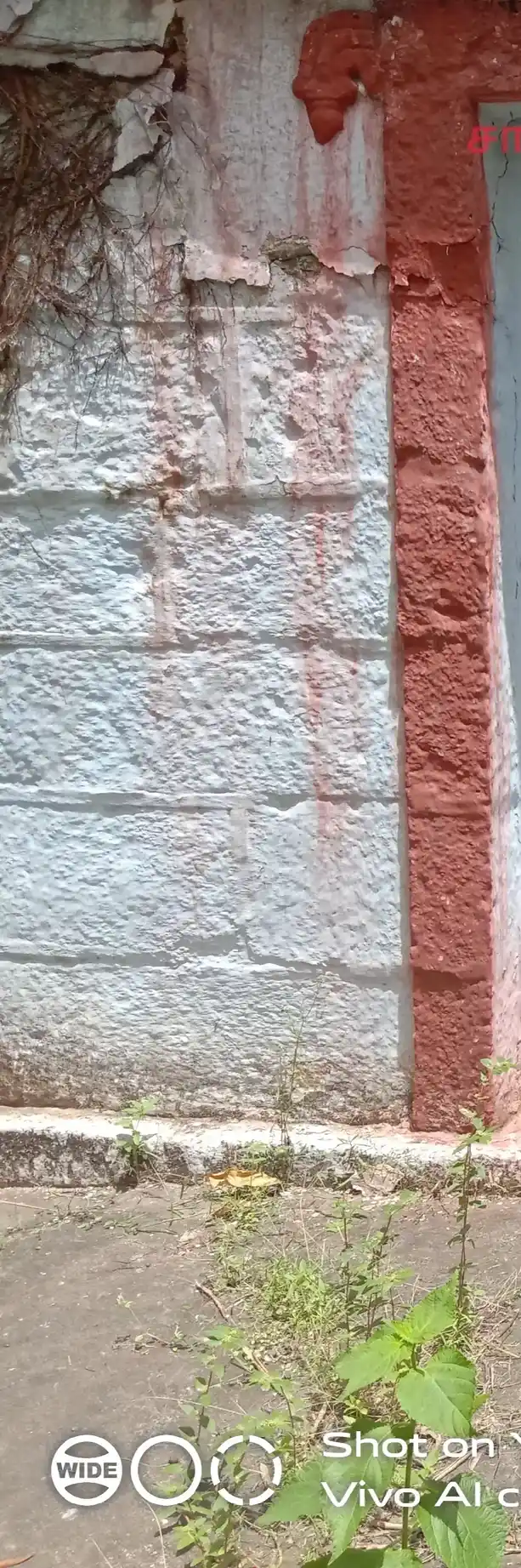 Arulmigu Padiyathu Kandan Sastha Temple, Vempanoor - 629801 அருள்மிகு படியத்து கண்டன் சாஸ்தா திருக்கோயில், Vempanoor - 629801, Kanyakumari - Ancient Temple Architecture and History Image 3