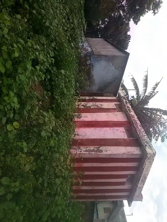 Arulmigu Padmanabasamy Temple, Bhavath Hospittal, Thazhakudi - 629901 அருள்மிகு பத்மனாபசாமி திருக்கோயில், Bhavath Hospittal, Thazhakudi - 629901, Kanyakumari - Ancient Temple Architecture and History Image 2