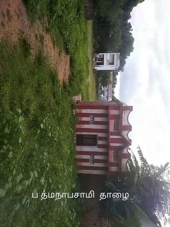 Arulmigu Padmanabasamy Temple, Bhavath Hospittal, Thazhakudi - 629901 அருள்மிகு பத்மனாபசாமி திருக்கோயில், Bhavath Hospittal, Thazhakudi - 629901, Kanyakumari - Ancient Temple Architecture and History Image 3