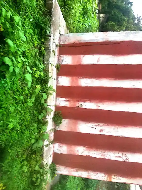 Arulmigu Padmanabasamy Temple, Bhavath Hospittal, Thazhakudi - 629901 அருள்மிகு பத்மனாபசாமி திருக்கோயில், Bhavath Hospittal, Thazhakudi - 629901, Kanyakumari - Ancient Temple Architecture and History Image 4