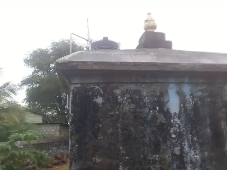 Arulmigu Padrimadasamy Temple, Nannagaram, Melagaram - 627818 Arulmigu Padrimadasamy Temple, நன்னகரம், Melagaram - 627818, Tenkasi - Ancient Temple Architecture and History Image 4