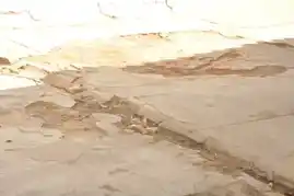 Arulmigu Paechiamman Temple, Azhagunachiamman, Vellalore - 641111 அருள்மிகு பேச்சியம்மன், அழகுநாச்சியம்மன் திருக்கோயில், அழகுநாச்சியம்மன், வெள்ளலுர் - 641111, Coimbatore - Ancient Temple Architecture and History Image 2