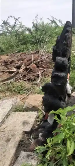 Arulmigu Pairavarsamy Temple, Nallur - 625022 அருள்மிகு பைரவசாமி திருக்கோயில், Nallur - 625022, Madurai - Ancient Temple Architecture and History Image 3