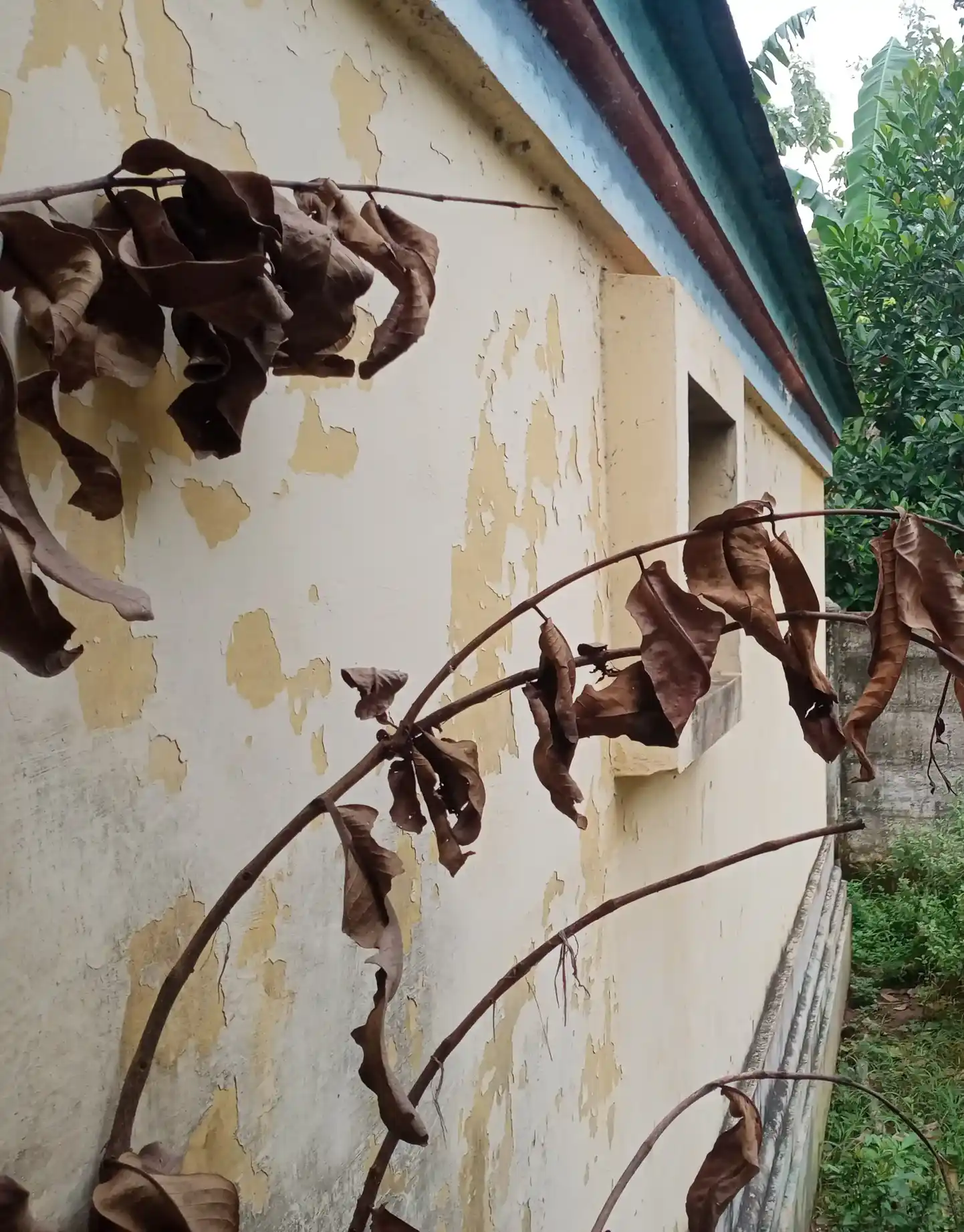 Arulmigu Pajanai Madam, Vaduvoor Vadapaathi - 614019 அருள்மிகு பஜனைமடம் வடுவூர்வடபாதி மன்னார்குடி வட்டம் திருவாரூர் மாவட்டம் மடம், Vaduvoor Vadapaathi - 614019, Thiruvarur - Ancient Temple Architecture and History Image 7