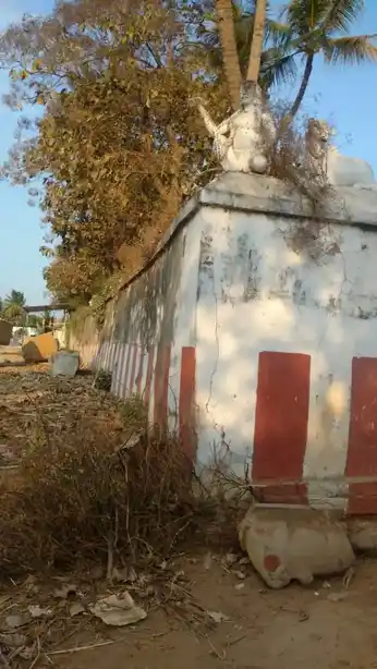 Arulmigu Pakthajaneswarar Temple, Thirunavalur - 607204 அருள்மிகு பக்தஜனேஸ்வரர் திருக்கோயில், திருநாவலூர் - 607204, Kallakurichi - Ancient Temple Architecture and History Image 6