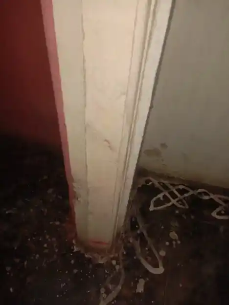 Arulmigu Palagai Karagam Temple, Hosur To Thali Road, Belagondapalli - 635114 அருள்மிகு பலகை கரகம் திருக்கோயில், Hosur To Thali Road, Belagondapalli - 635114, Krishnagiri - Ancient Temple Architecture and History Image 9