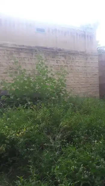 Arulmigu Palagaikaragam Temple, Kambainallur - 635202 அருள்மிகு பலகைகரகம் திருக்கோயில், Kambainallur - 635202, Dharmapuri - Ancient Temple Architecture and History Image 3