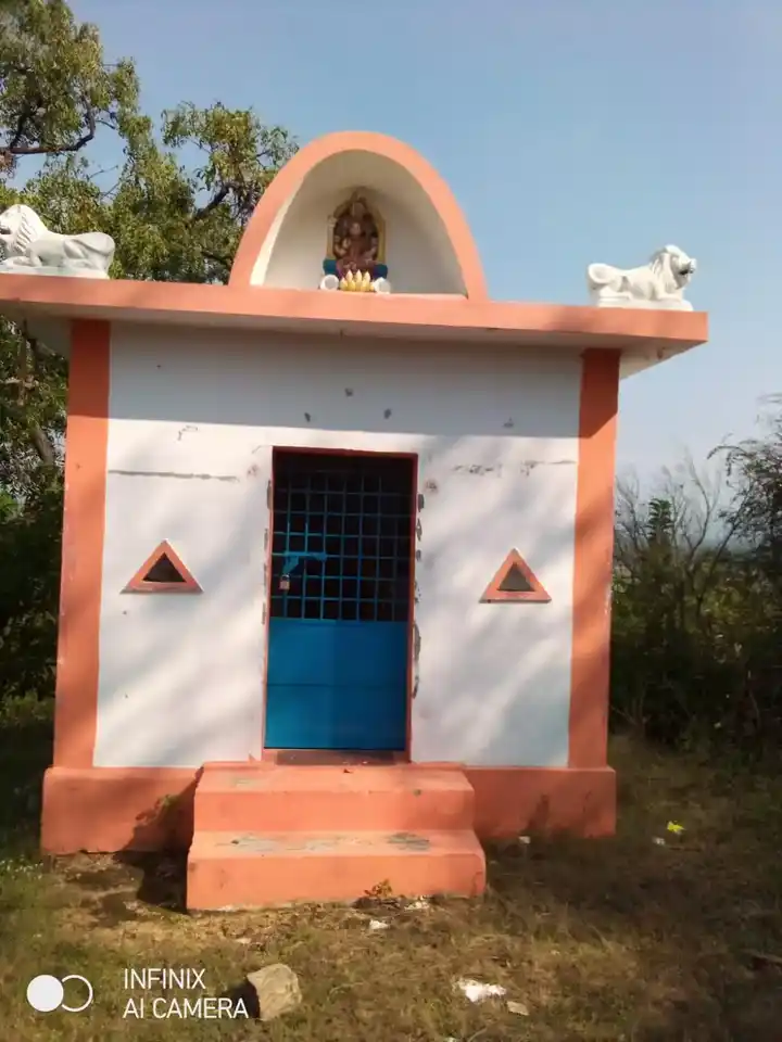 Arulmigu Palagaikaragam Temple, Near School, Naduvanapalli - 635121 Temple