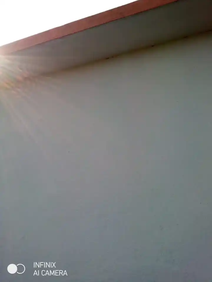 Arulmigu Palagaikaragam Temple, Near School, Naduvanapalli - 635121 அருள்மிகு பலகை கரகம் திருக்கோயில், Near School, Naduvanapalli - 635121, Krishnagiri - Ancient Temple Architecture and History Image 3