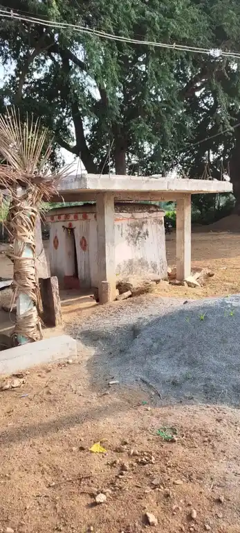 Arulmigu Palagaikaragam Temple, Sembarsanapalli - 635117 Temple