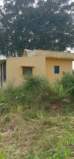 Arulmigu Palagaikaragamman Temple, Thalapalli - 635124 Temple