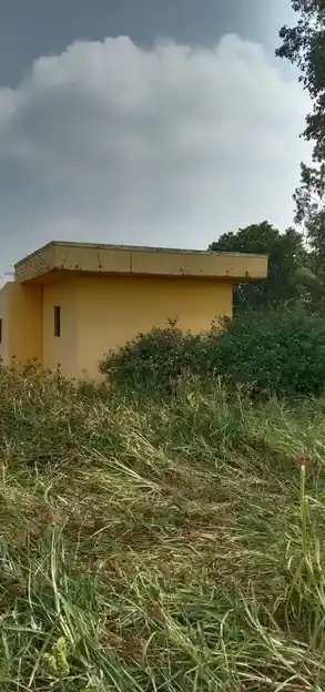 Arulmigu Palagaikaragamman Temple, Thalapalli - 635124 அருள்மிகு பலகை கரகம்மன் திருக்கோயில், Thalapalli - 635124, Krishnagiri - Ancient Temple Architecture and History Image 2