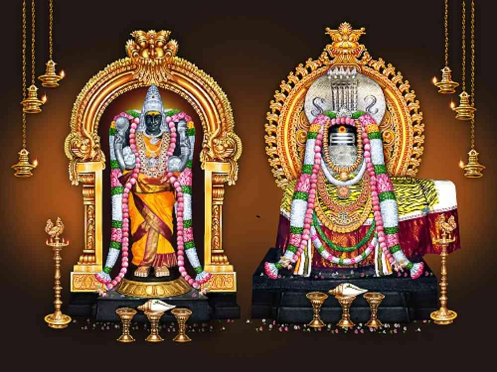 அருள்மிகு பாலைவனநாத சுவாமி திருக்கோயில், திருப்பாலைத்துறை - 614205 - Main View