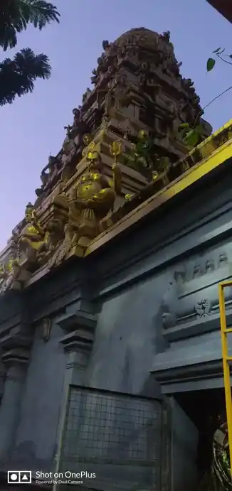 Arulmigu Palandiamman Temple, Adampakkam, Chennai - 600088 அருள்மிகு பழண்டியம்மன் திருக்கோயில், ஆதம்பாக்கம், சென்னை - 600088, Chennai - Ancient Temple Architecture and History Image 2