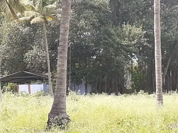 Arulmigu Palani Andavar Temple, Avalpundurai - 638115 அருள்மிகு பழனி ஆண்டவர் திருக்கோயில், Avalpundurai - 638115, Erode - Ancient Temple Architecture and History Image 3