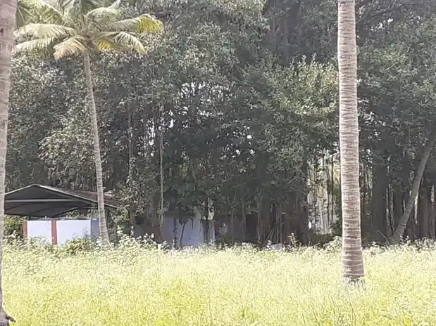 Arulmigu Palani Andavar Temple, Avalpundurai - 638115 அருள்மிகு பழனி ஆண்டவர் திருக்கோயில், Avalpundurai - 638115, Erode - Ancient Temple Architecture and History Image 5